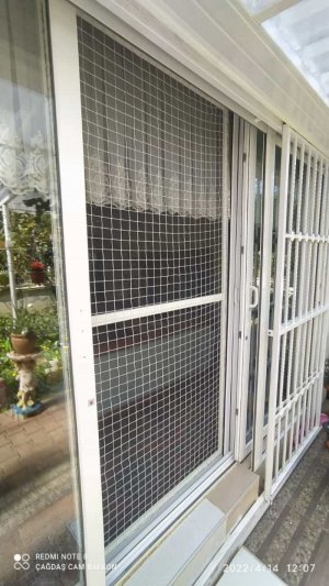 Antalya Kedi Sinekliği